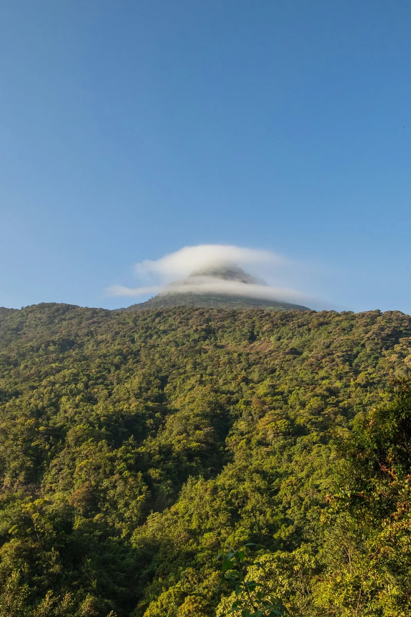 Sunrise view from the summit of Adam's Peak Sri Pada with triangular shadow over the clouds