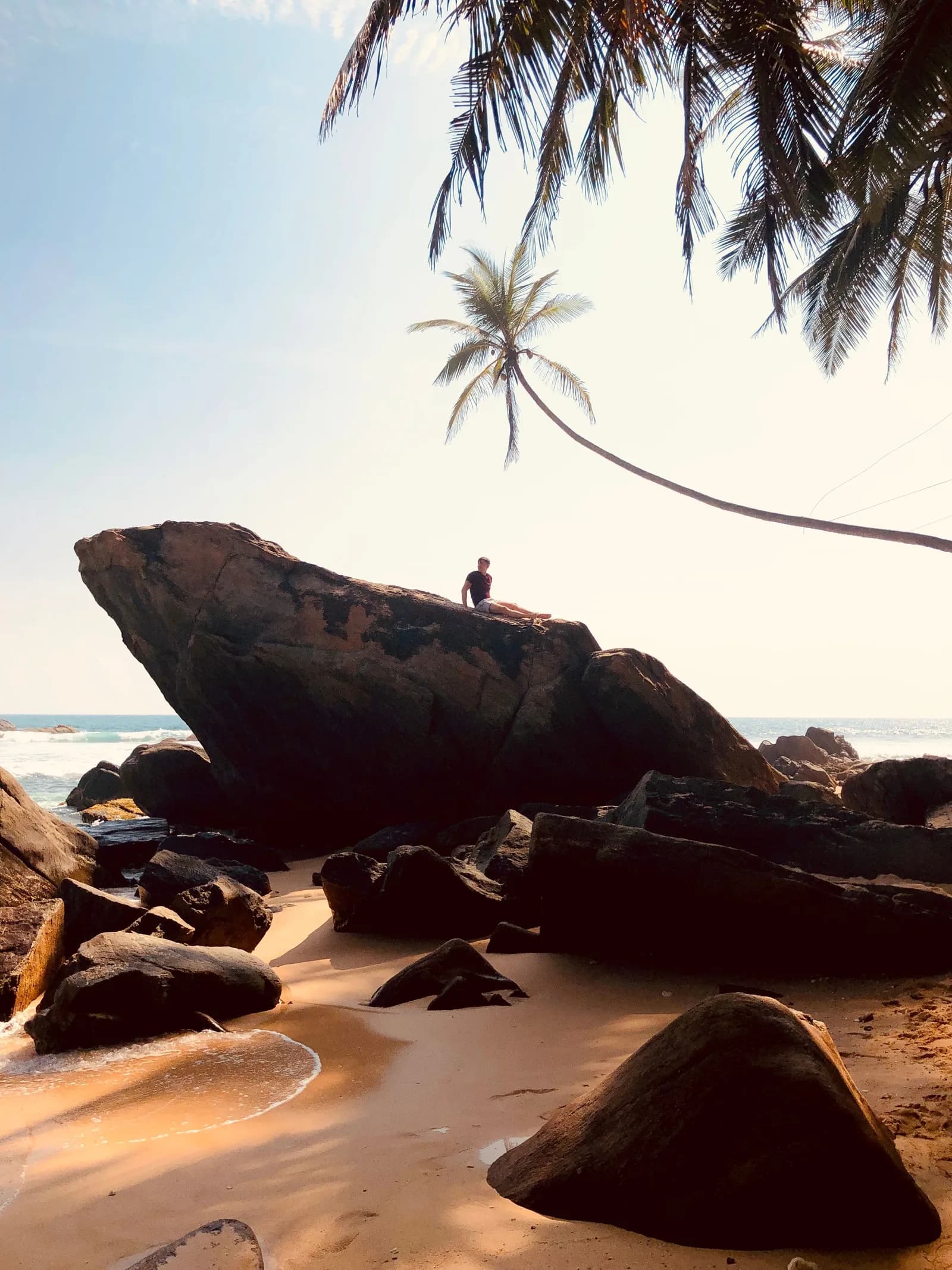 Pristine golden beach lined with towering palm trees overlooking ocean waves.
