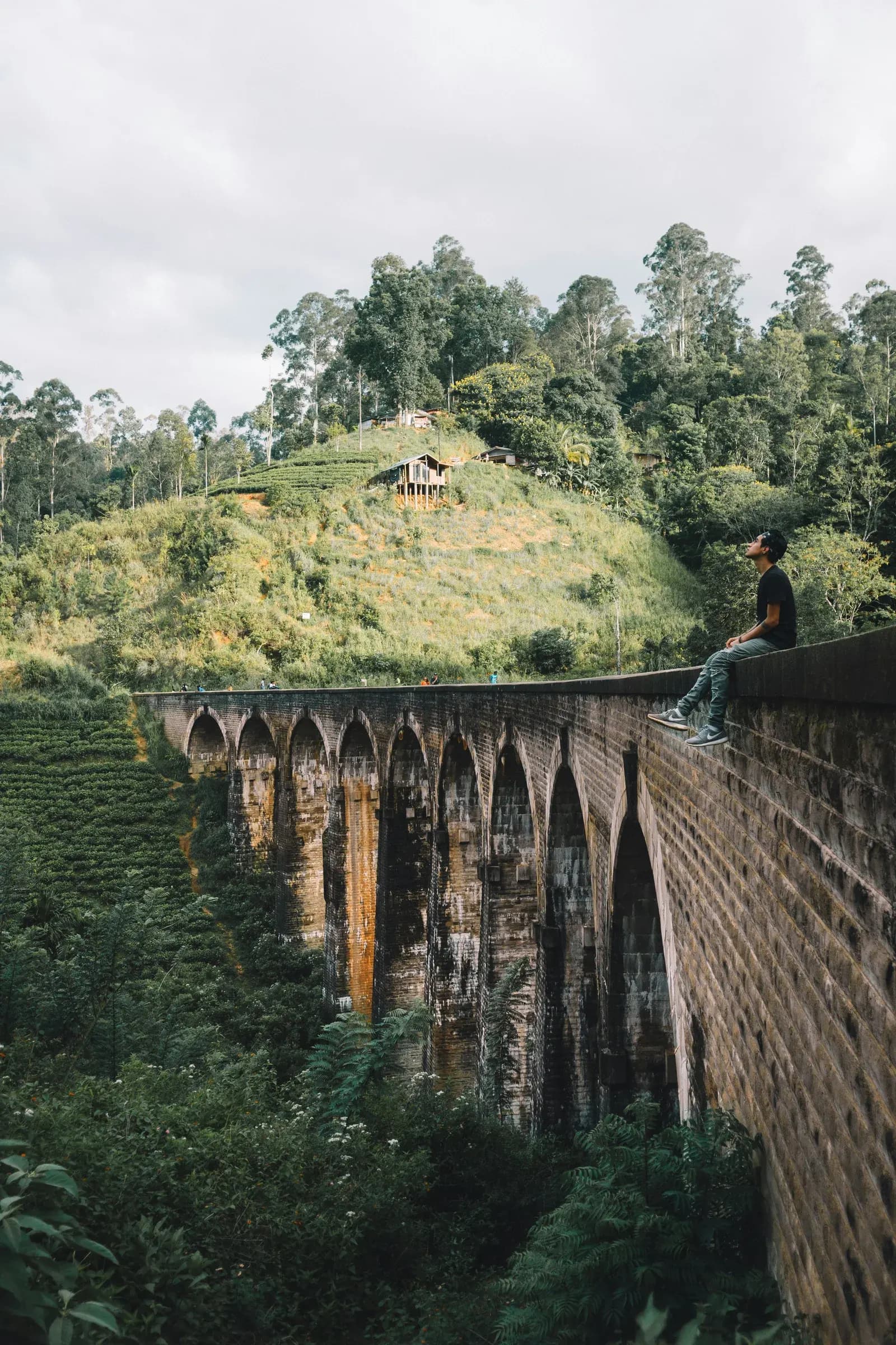Breathtaking panoramic mountain peaks and sweeping green valleys in Ella.