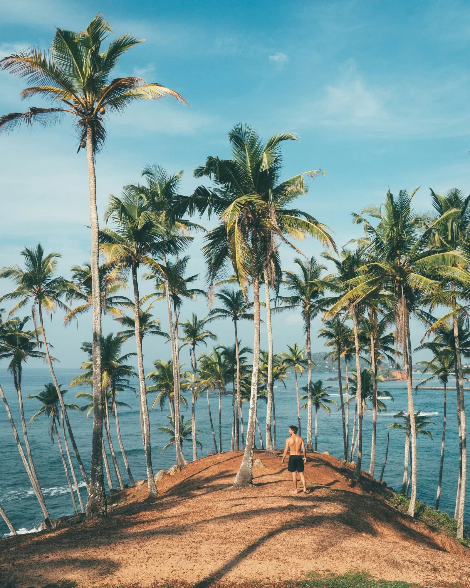 Golden crescent bay and coconut palms overlooking azure ocean waves in Mirissa.