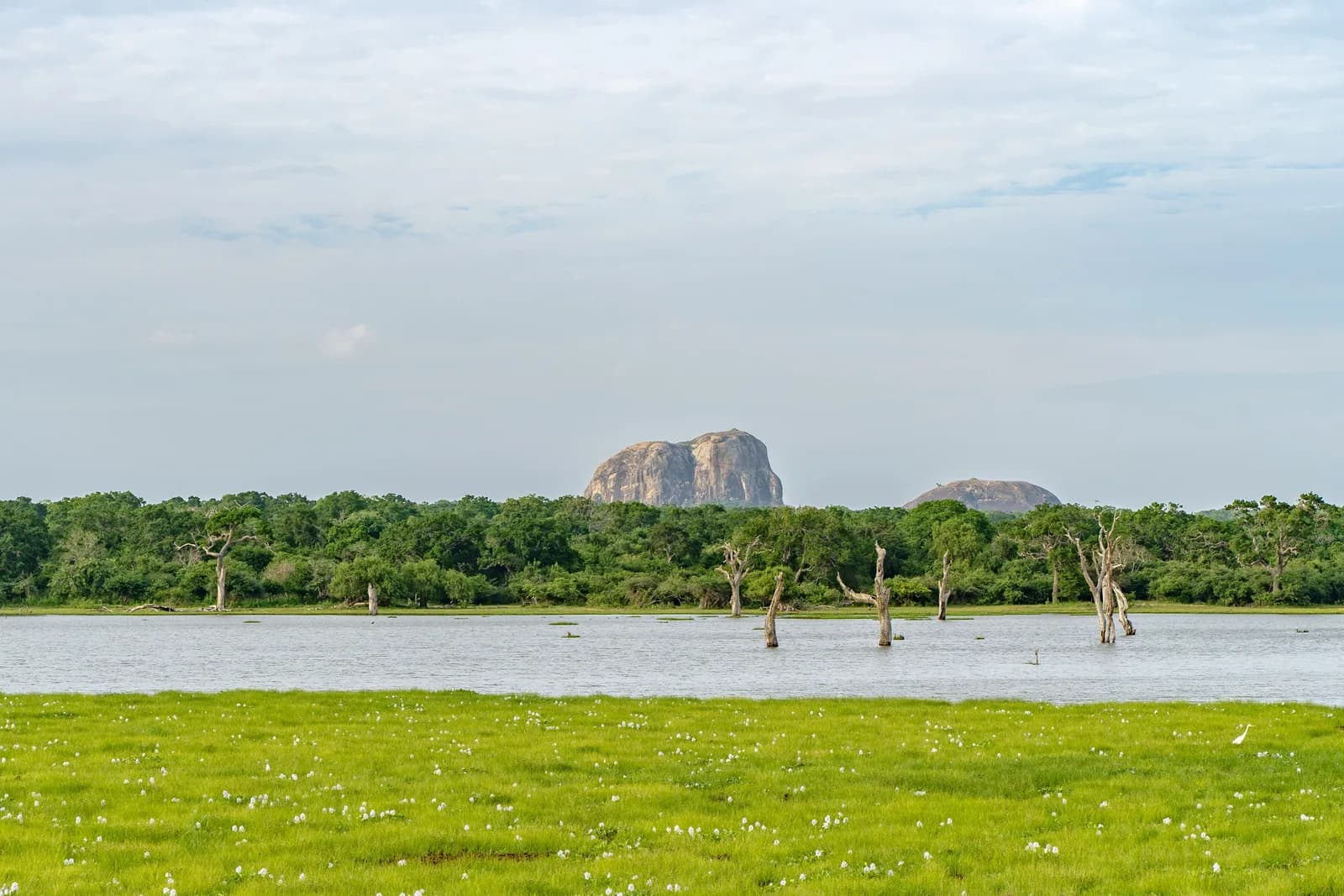 Lush green rolling hills and terraced landscapes across the central highlands.