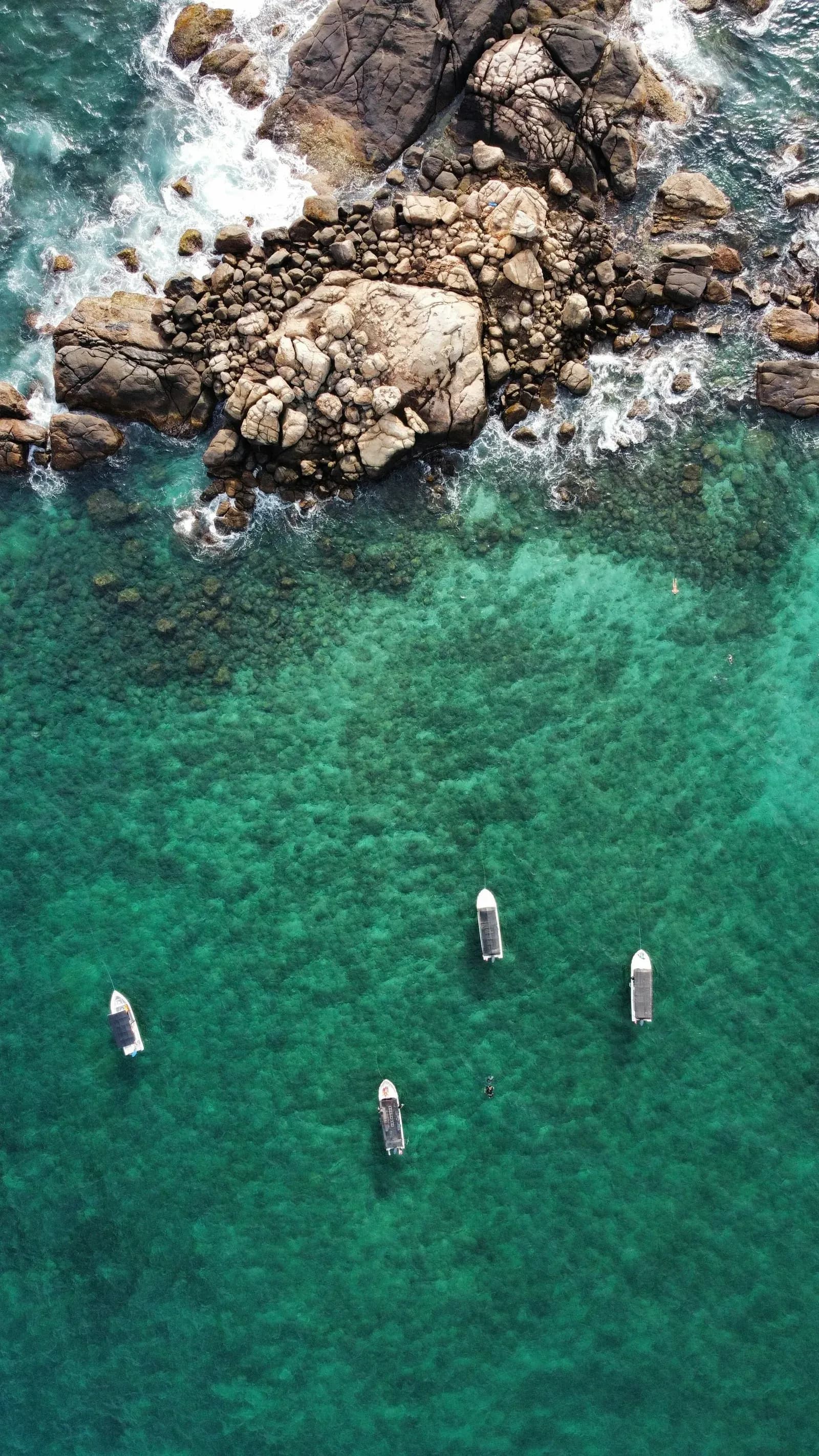Tall coconut trees leaning over tranquil turquoise waters on a tropical beach.