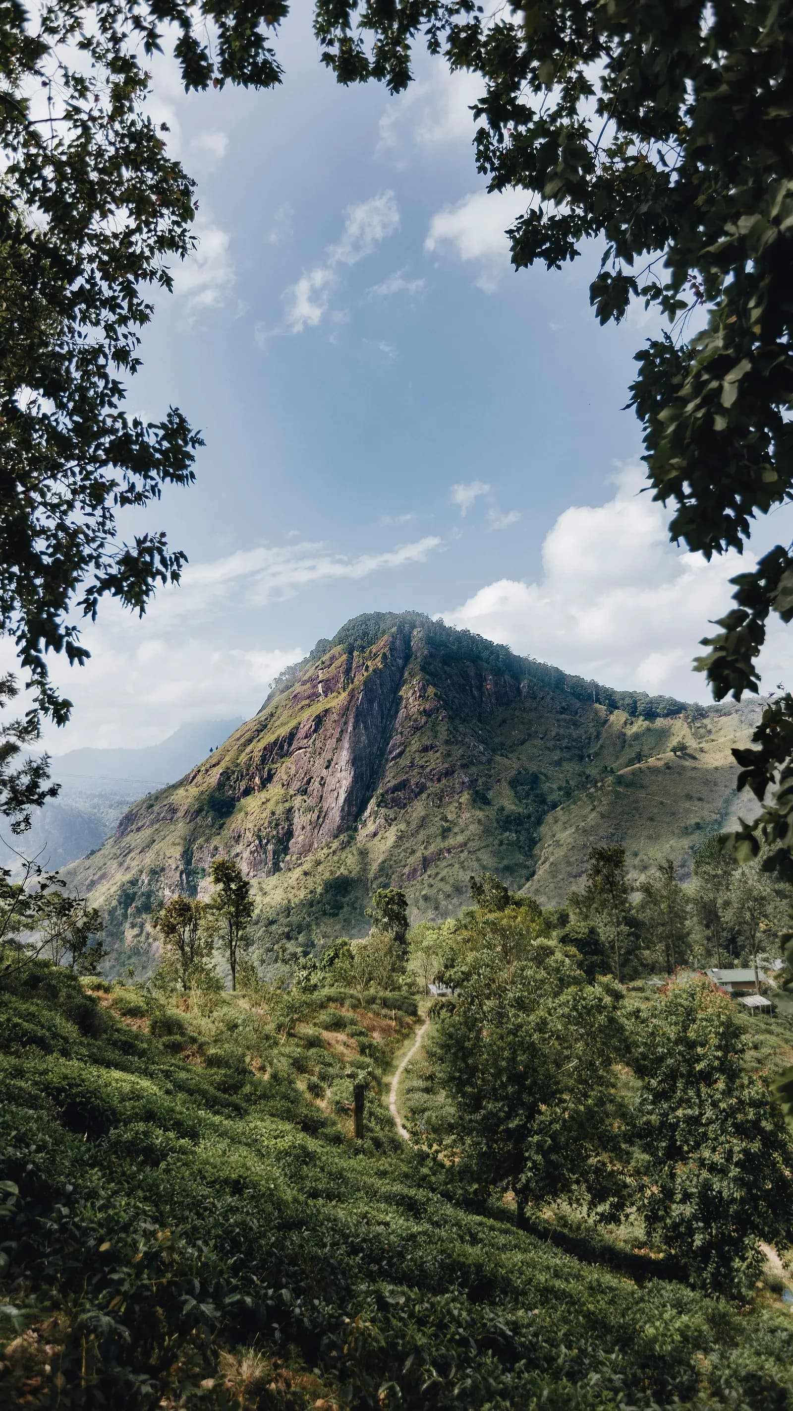 Dramatic mountain ranges and rolling cloud forests in the central highlands.