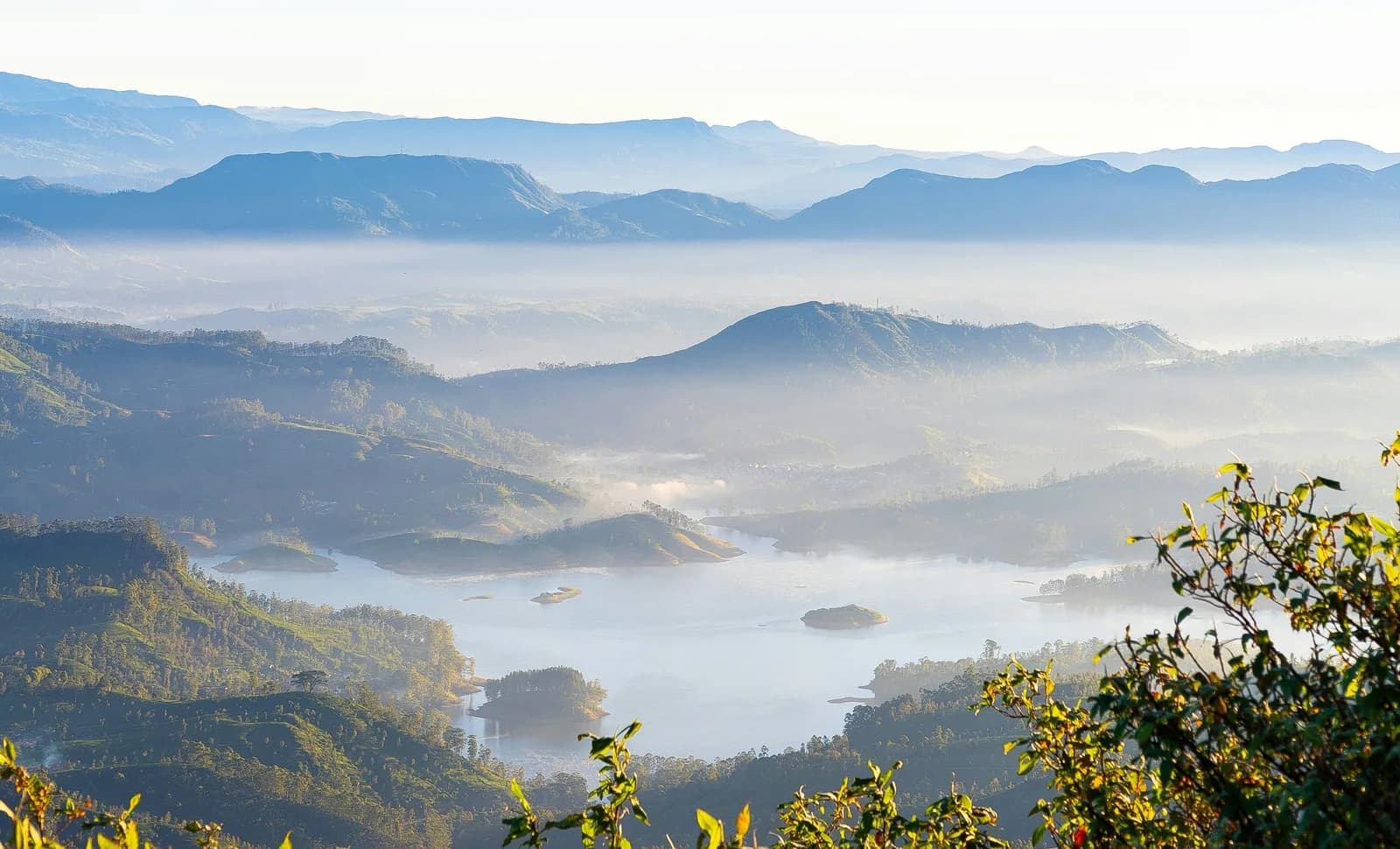 Vast untouched nature reserve stretching toward misty mountain ranges.